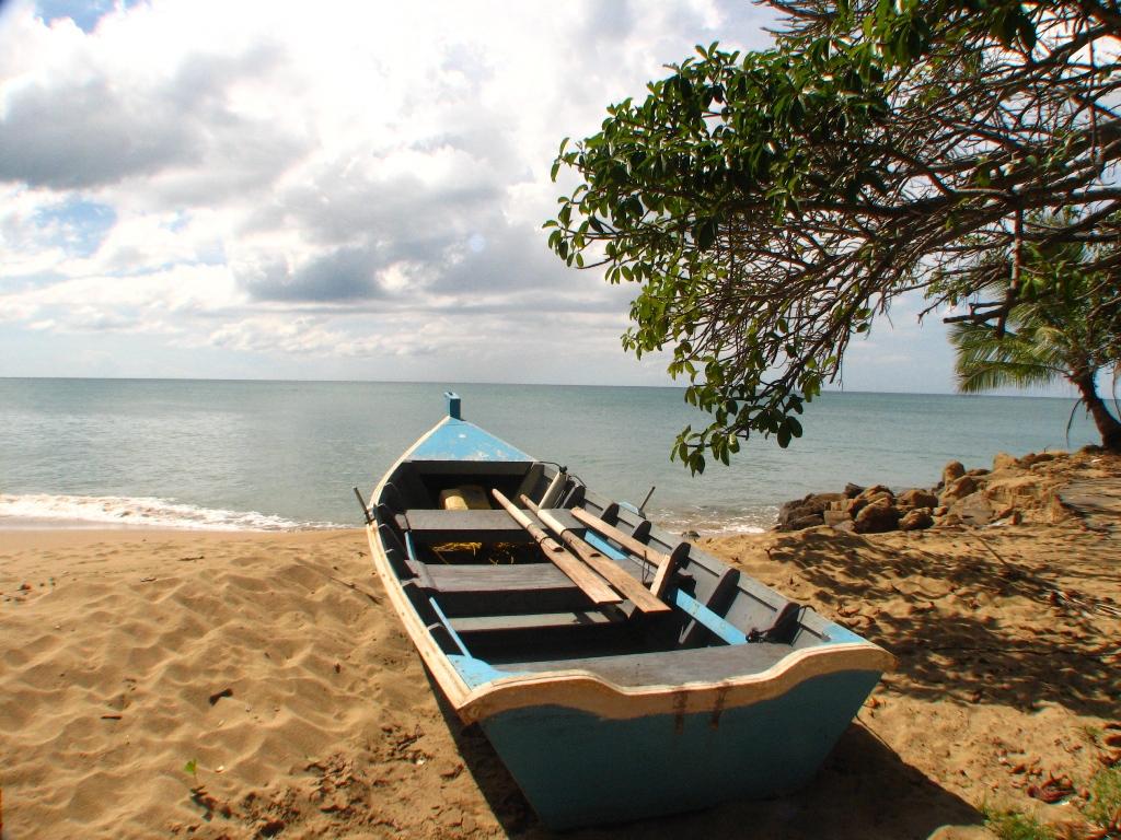 Lugares Para Realizar Kayak En Puerto Rico